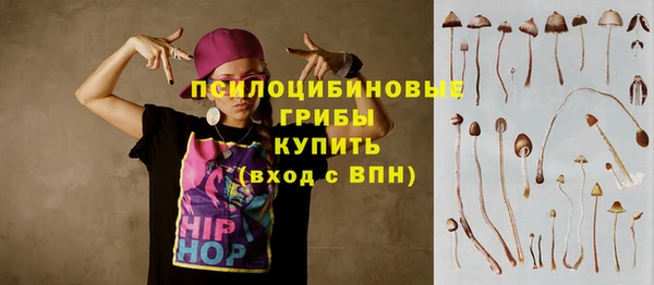 индика Нефтекумск