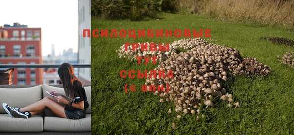индика Нефтекумск