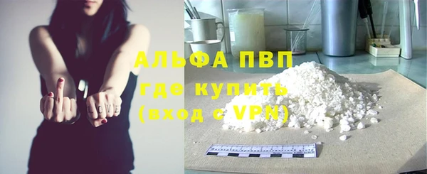 индика Нефтекумск