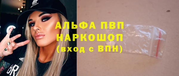 индика Нефтекумск