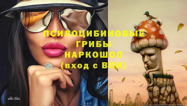 индика Нефтекумск