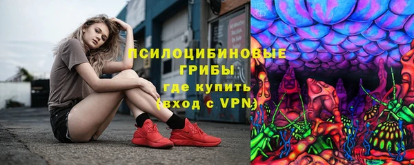 индика Нефтекумск