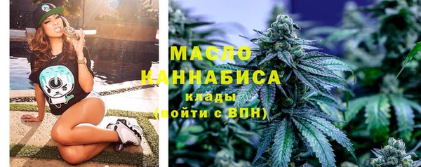 индика Нефтекумск