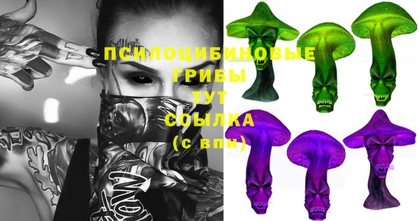 индика Нефтекумск