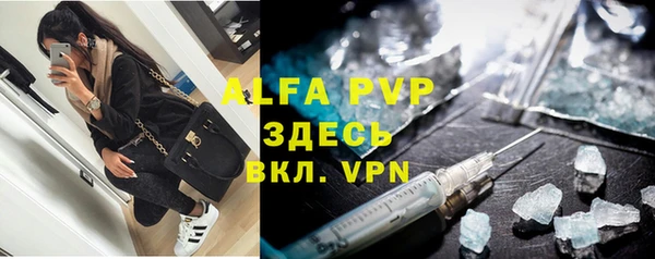 индика Нефтекумск