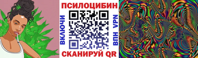 Псилоцибиновые грибы Magic Shrooms  наркота  Шали 