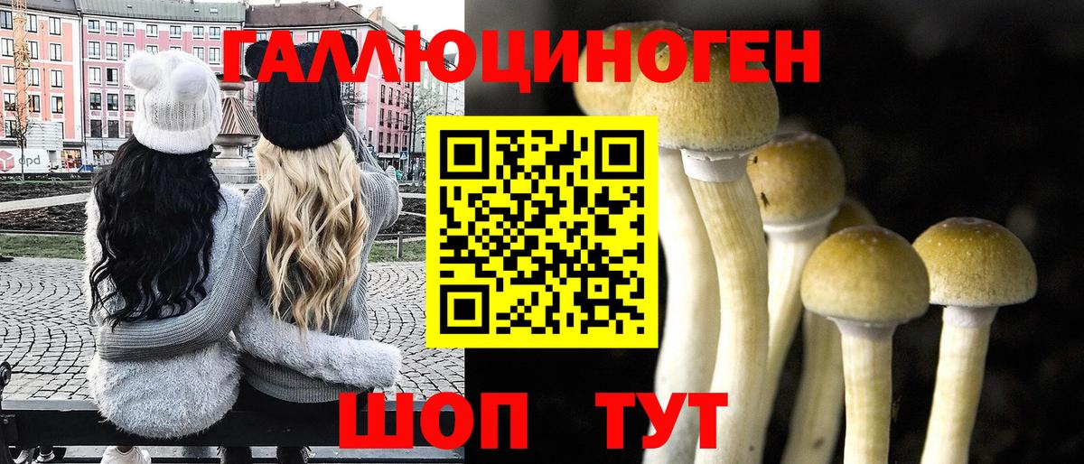 Шали  Псилоцибиновые грибы прущие грибы  Вход с VPN 