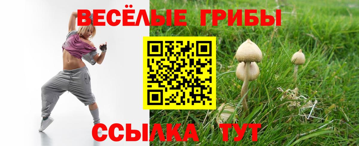 Псилоцибиновые грибы мицелий Шали